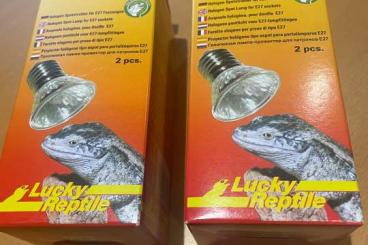 Zubehör kaufen und verkaufen Foto: 2x2 Lucky Reptile Halogen Sun Mini - 50Watt