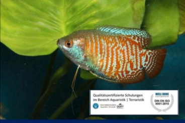 Aquaristikzubehör kaufen und verkaufen Foto: zertifizierter §11 Kurs Aquaristik in Berlin