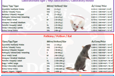 Futtertiere kaufen und verkaufen Foto: Rats, labor. mice, mastomyš, chicken, rabbit