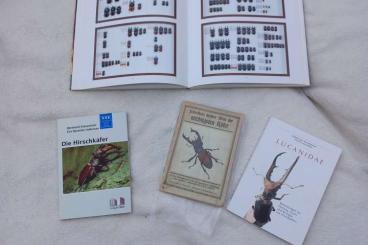 Literatur kaufen und verkaufen Foto: Lucanidae/ Hirschkäfer Books to Hamm, 60 Euro al VB  